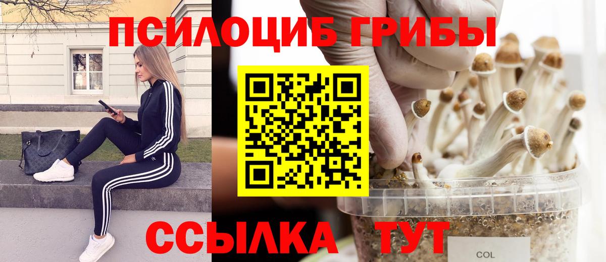 Галлюциногенные грибы прущие грибы Ростов-на-Дону