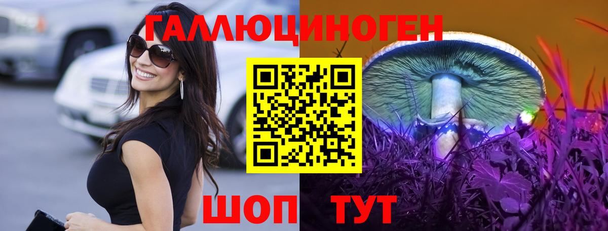 Псилоцибиновые грибы Psilocybine cubensis  Псилоцибиновые грибы мицелий  Ростов-на-Дону  Вход с VPN 